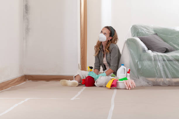 Reliable Bathroom Mold Removal contractor in Buckley, MI by WQB Mold Removal